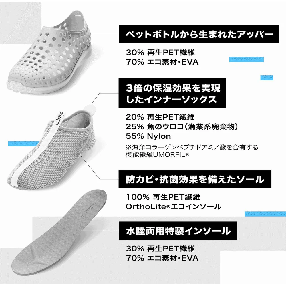 fish-jp - Image 13