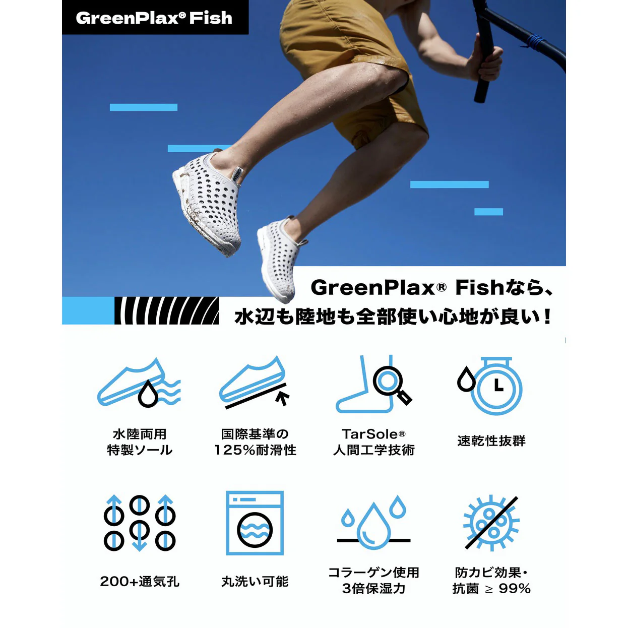 fish-jp - Image 4