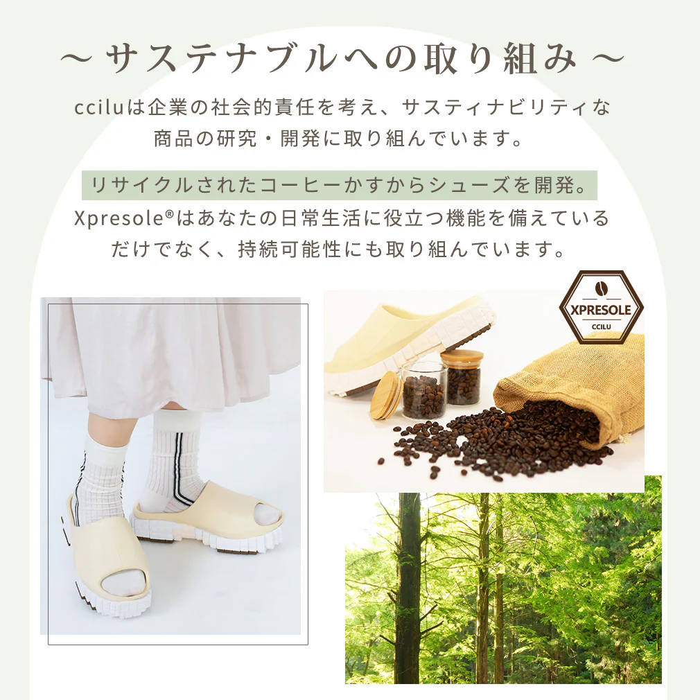 PANTOO FOREST XP - Image 17