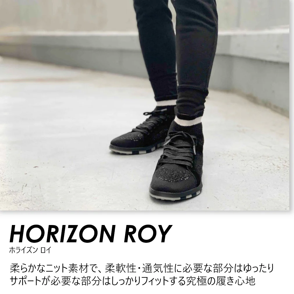 horizone-roy - Image 2